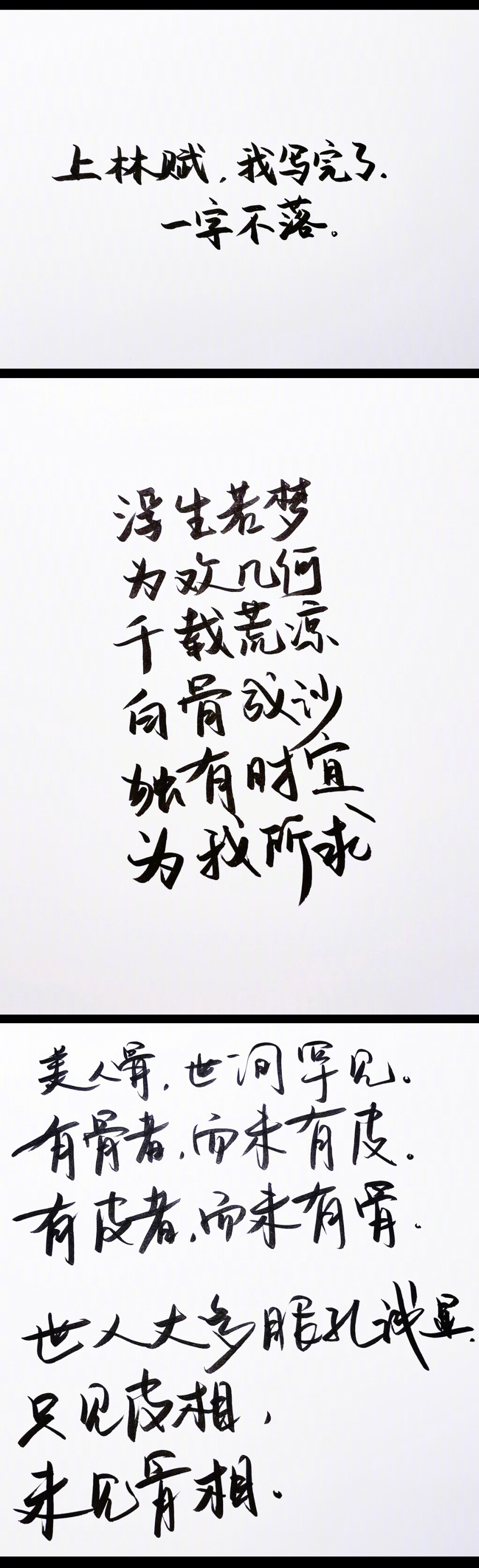 一生一世 - 堆糖,美图壁纸兴趣社区