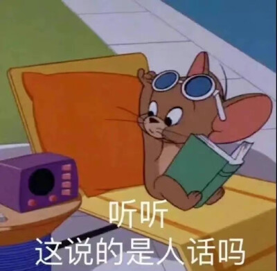 猫和老鼠表情包