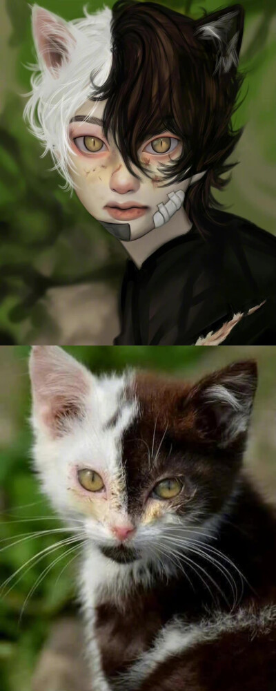 画师kangcono猫咪拟人