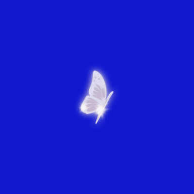 蓝蝴蝶图片 头像图片