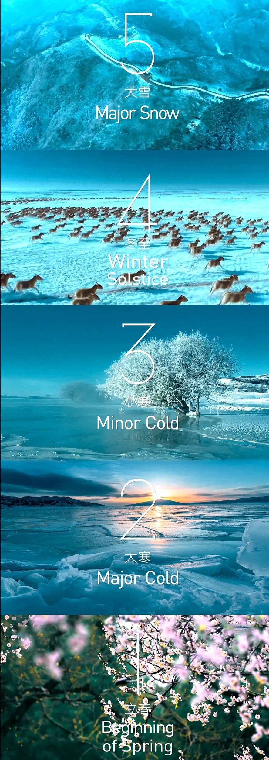 冬奥24节气照片图片