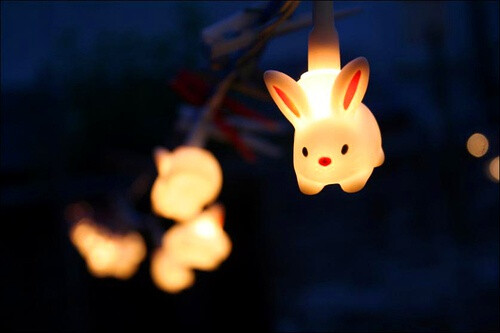 兔儿灯灯似图片