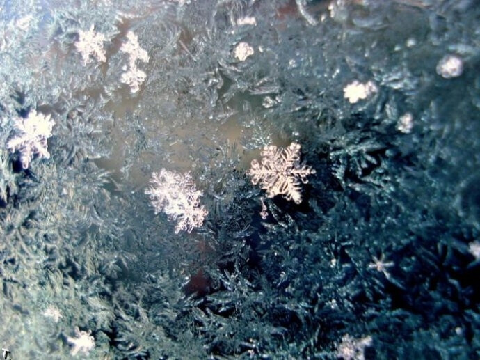 雪花.很干净很纯粹.