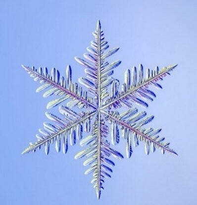 你从未察觉到的雪花之美.