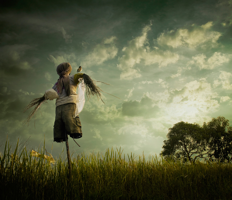 心灵的守望,麦田里的稻草人