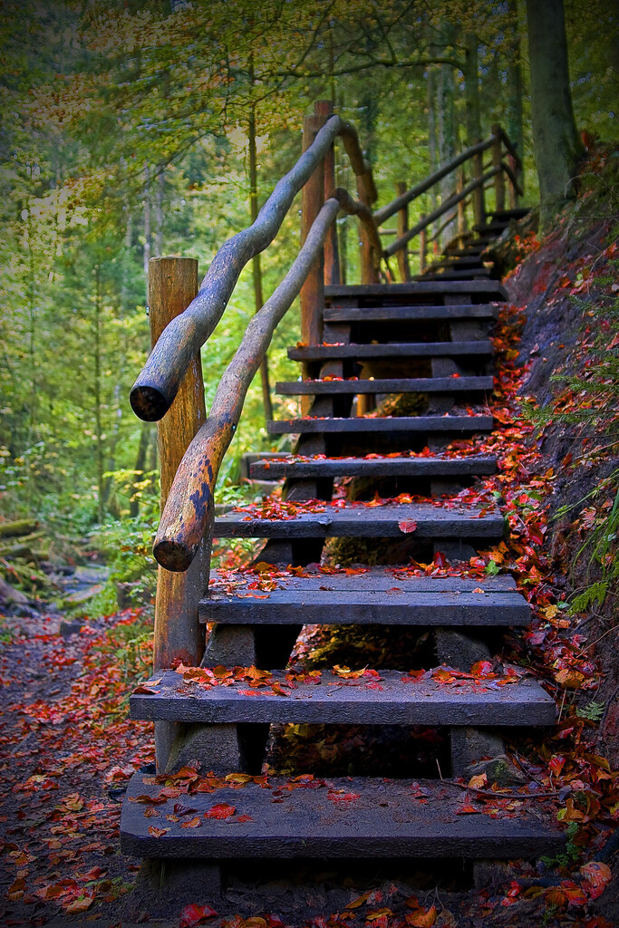 登山梯 堆糖,美图壁纸兴趣社区