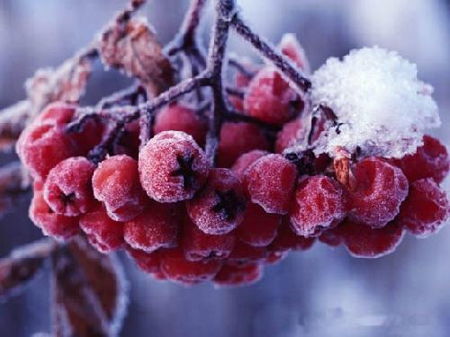 张家界.这样细腻的雪景.