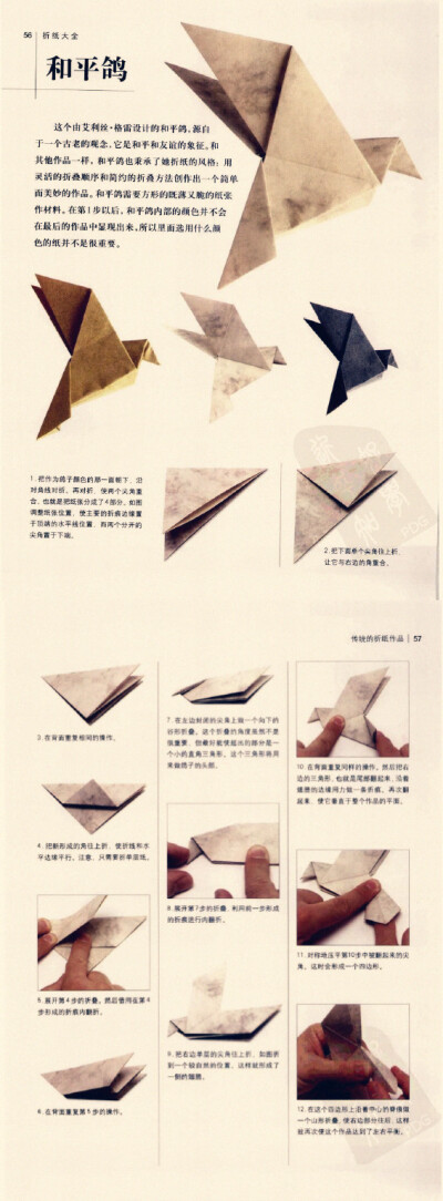 纸鸽子的制作方法图片