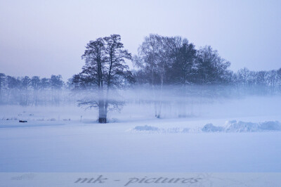 foggy 