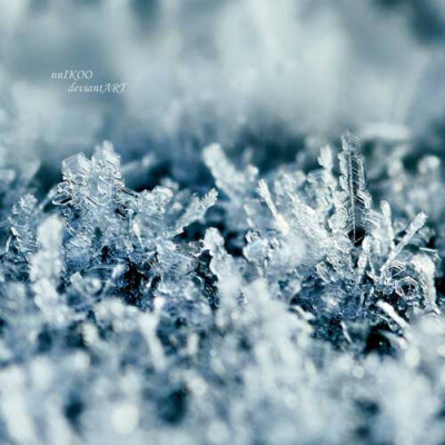 一组晶莹剔透的干净纯洁的小雪花会在这个糟糕的季节给你带来一些清凉