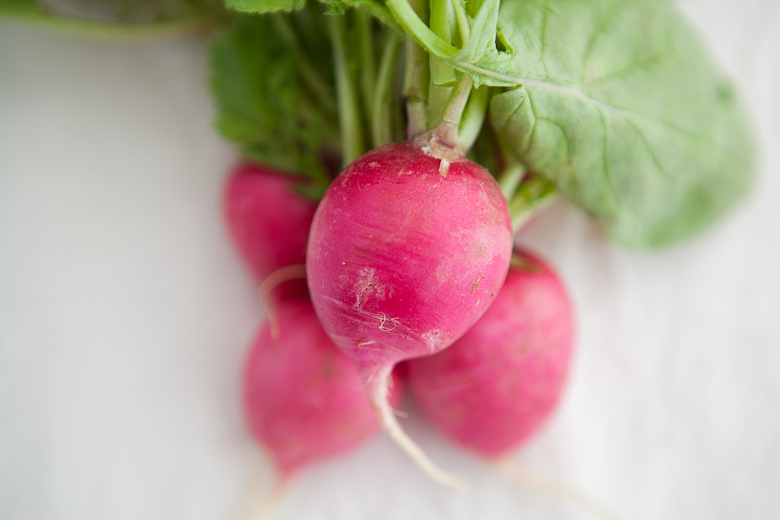 罗卜b162 - 堆糖,美图壁纸兴趣社区