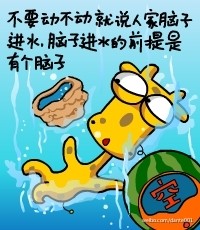 不要动不动就说人家脑子进水,脑子进水的前提是有个脑子