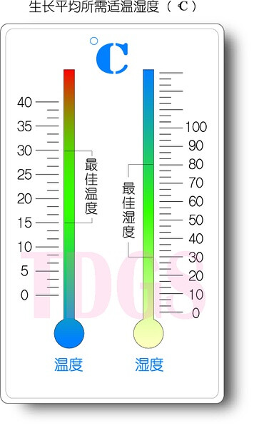 多肉植物盆栽最佳温度湿度示意图【图片出自phil