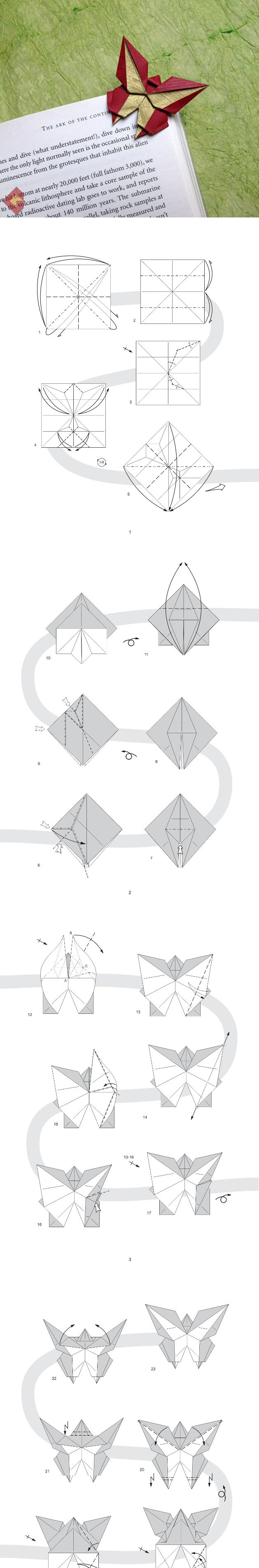 折纸蝴蝶制作过程图片