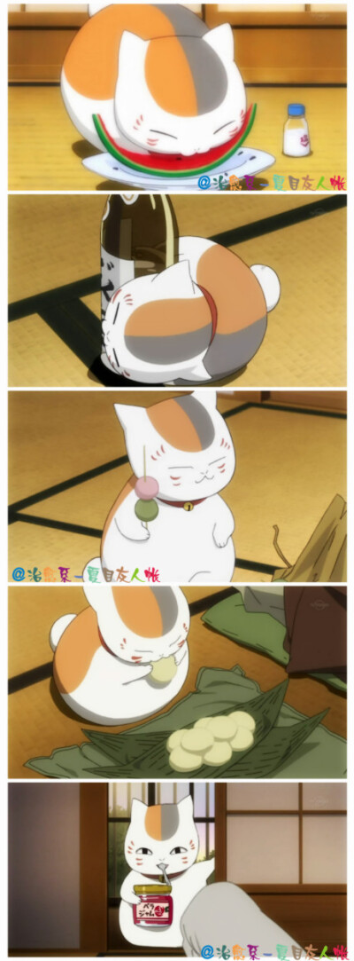 猫咪老师