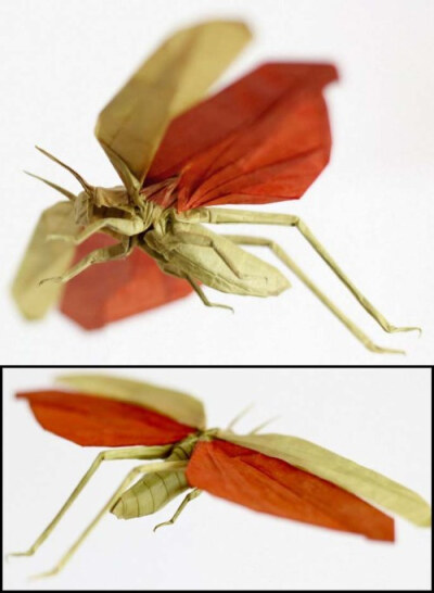 折纸昆虫cp图图片