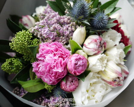 选用重瓣双色郁金香,高山刺芹,白色,粉色和红色芍药,紫色丁香等.