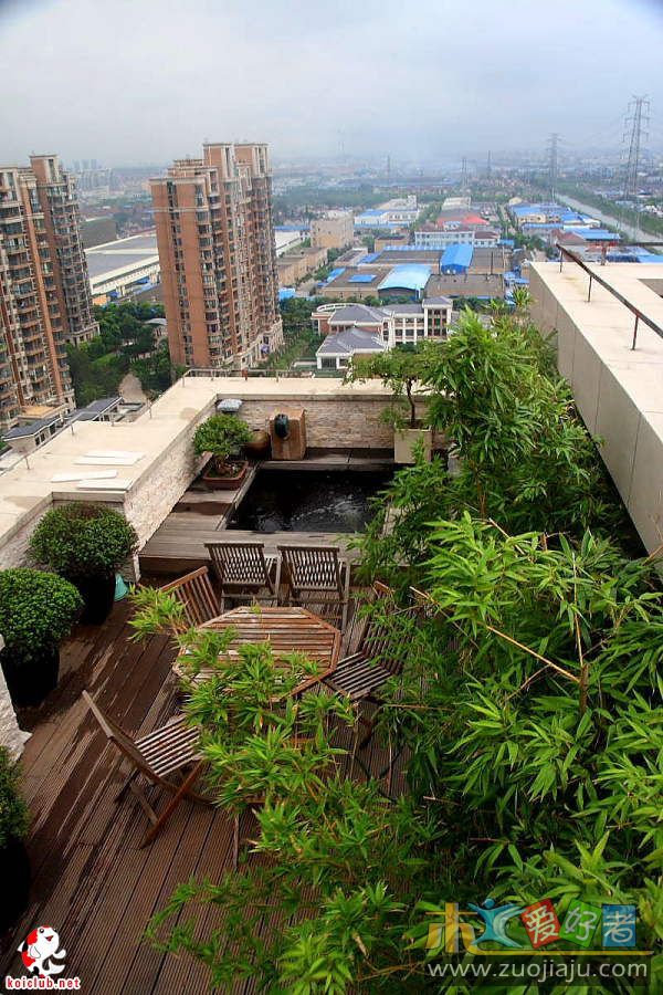 露台鱼池2