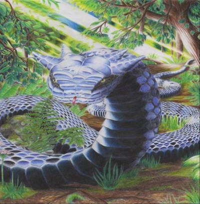 【异兽】巴蛇 《山海经·海内南经》:巴蛇食象