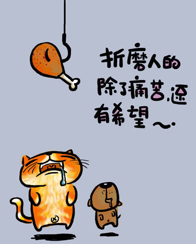 毛毛猫系列之痛苦篇——折磨人的除了痛苦,还有希望~~.