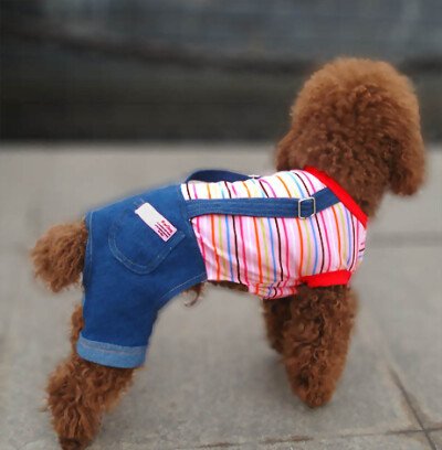 宠物衣服七彩t恤牛仔裤,很精神的衣服哦,很有爱,感觉狗狗宝贝立马变