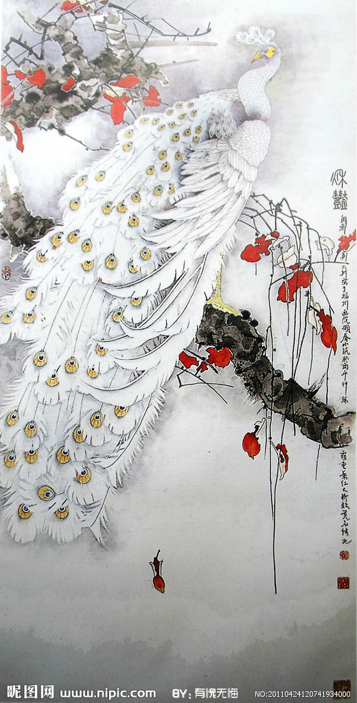 国画白孔雀