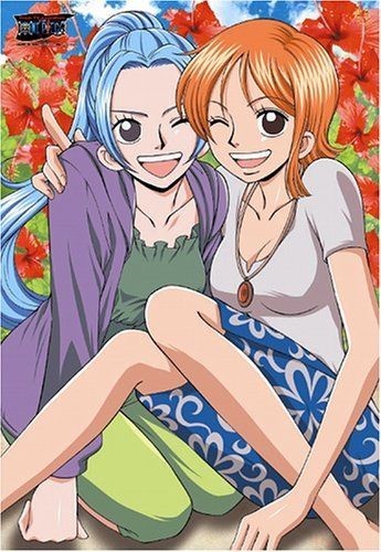 海贼王 娜美和薇薇公主
