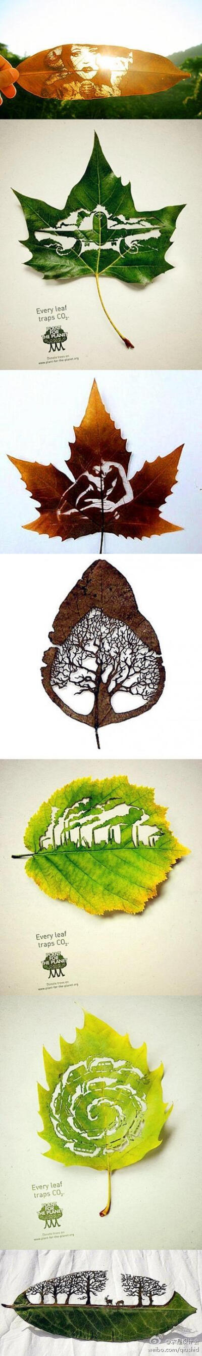 树叶雕刻作品图片图片