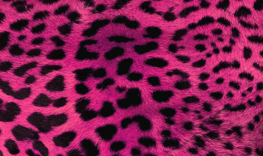 粉红豹壁纸桌面图片