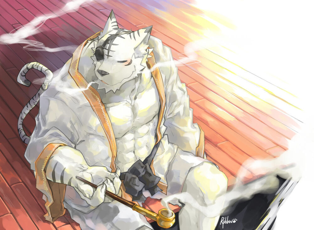 堆糖,美图壁纸兴趣社区