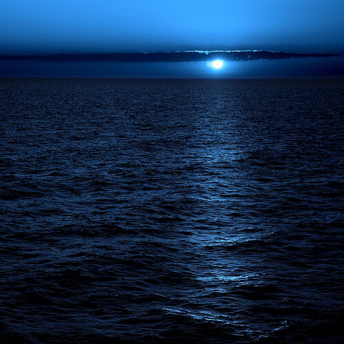 夜晚海的照片图片