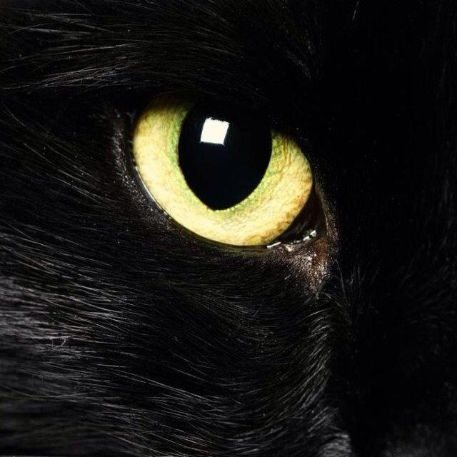 黑猫眼 