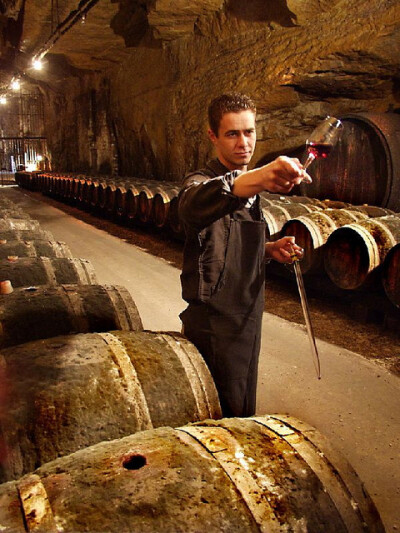 beaujolais 博若莱新酒已成为这个酒区的一个品牌,每年11月第三周的