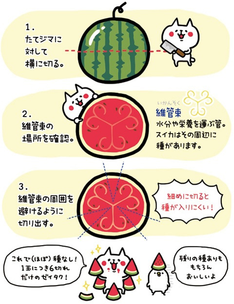 炎炎夏日,西瓜时节.