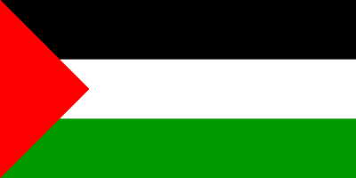 巴勒斯坦国旗图片图标图片