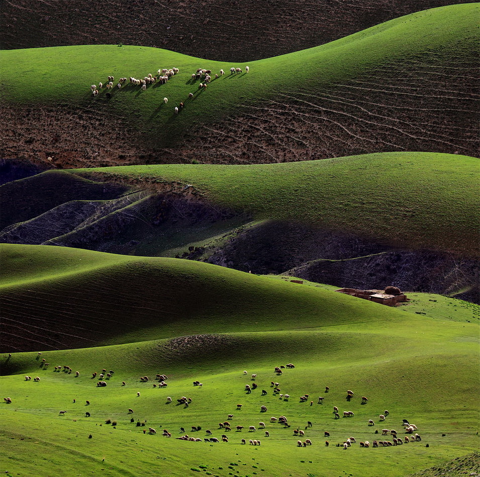 新疆琼库什台大草原.(摄影:长青树)