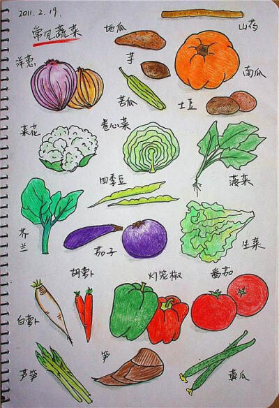 【我为美食狂】《手绘美食谱》