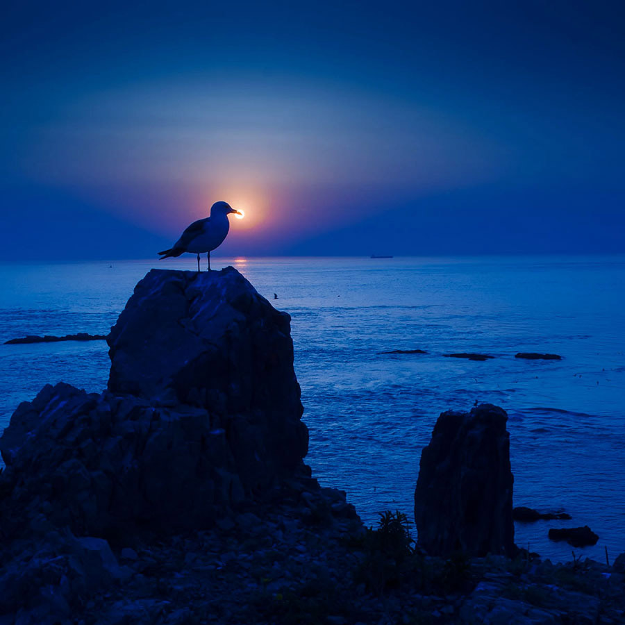 jeep极致摄影大赛破晓