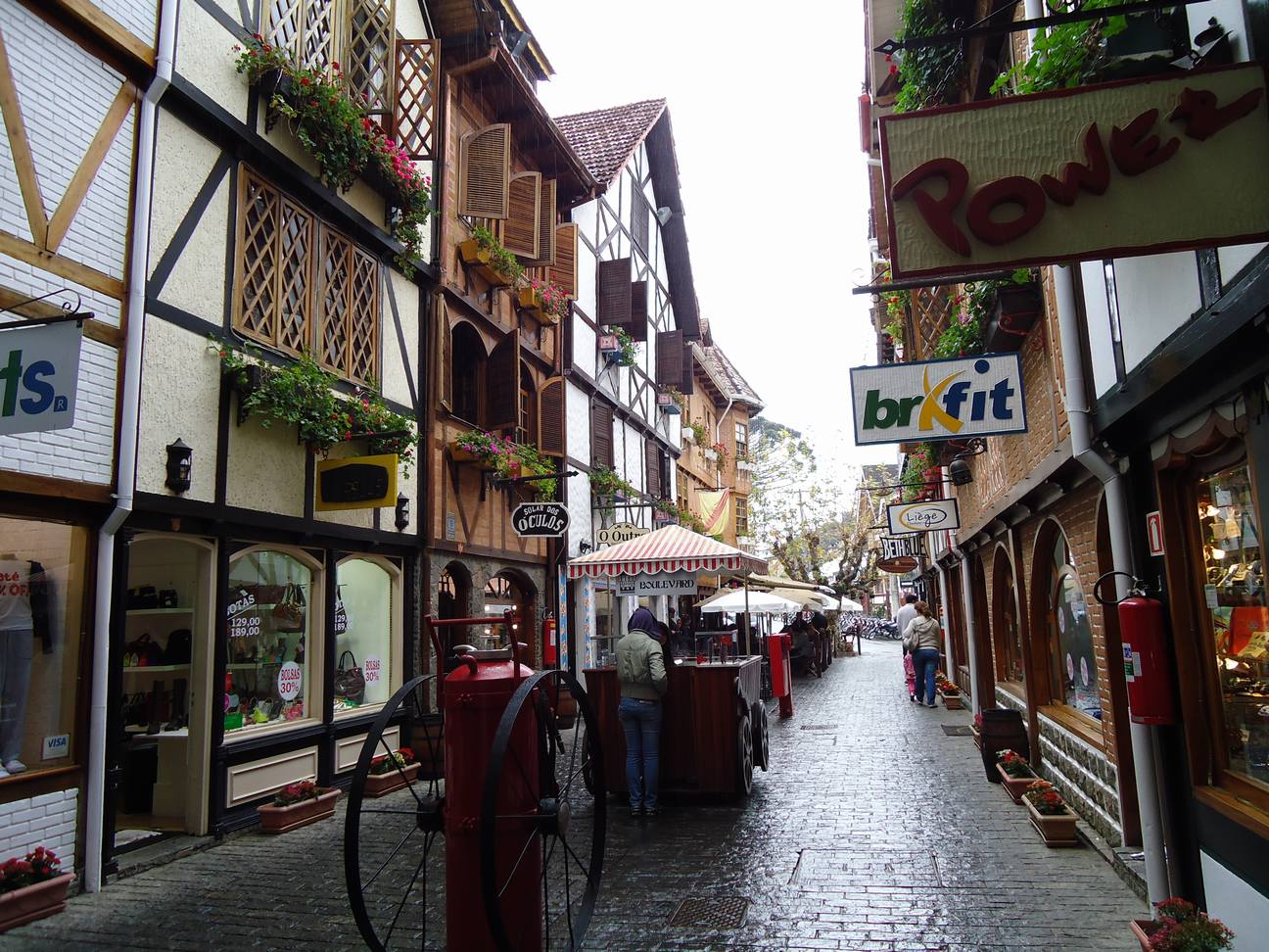 真美真美,思念更美.