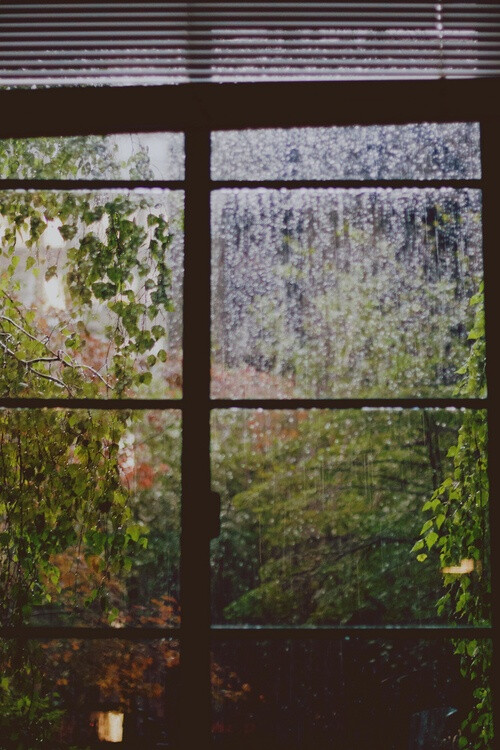 雨打窗棂图片图片