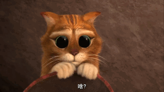 猫咪