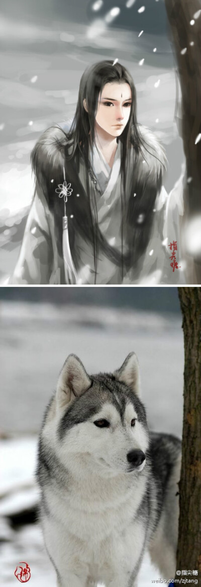 狼.