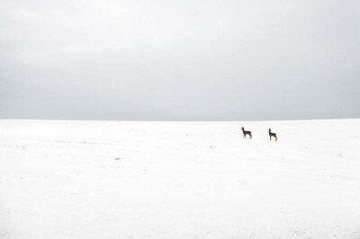 major的极简主义摄影「lumen,仿如无限遥远的雪景,没有边际,却又不