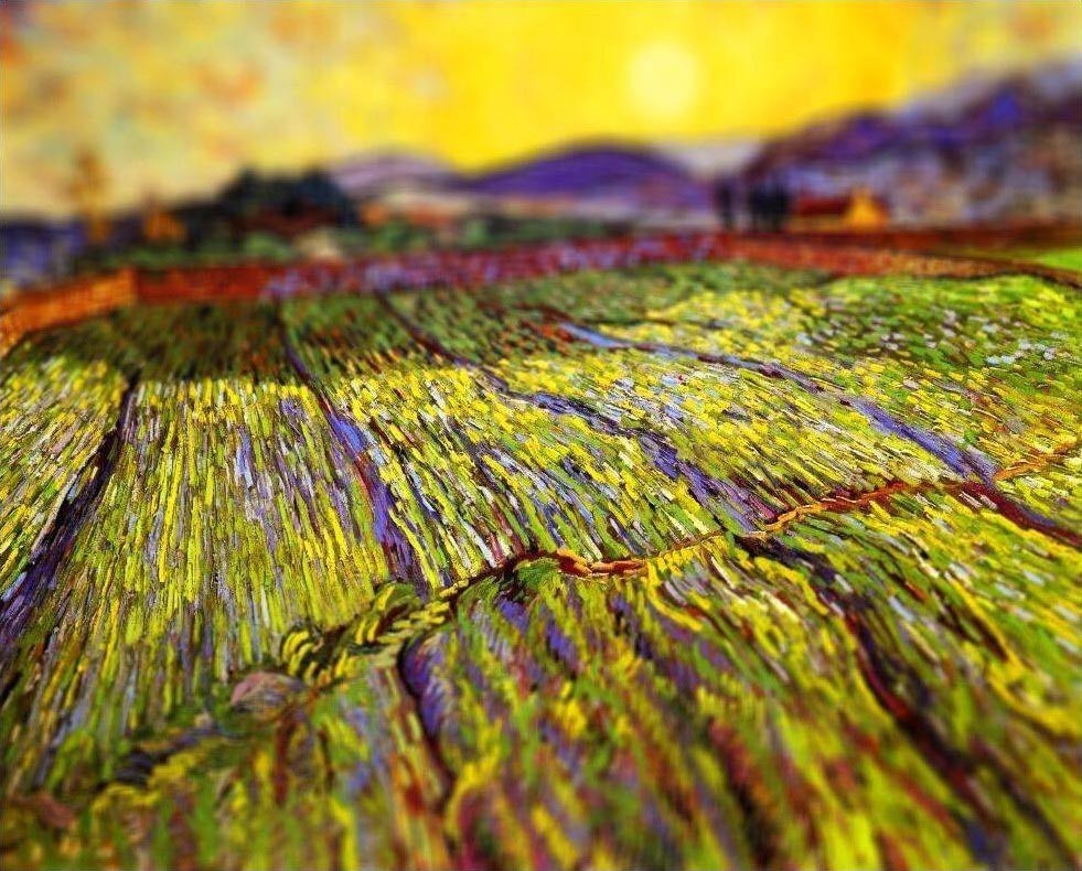 field 