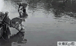 轻功水上漂