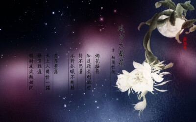 木兰