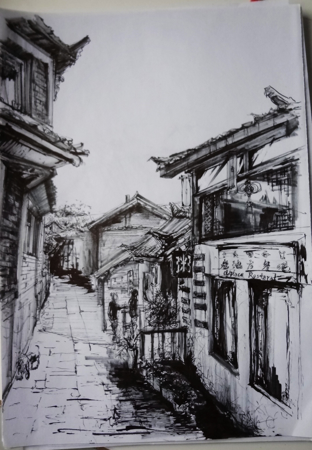 写生 丽江