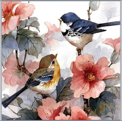 鸟类绘画