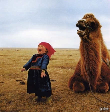 沙漠骆驼小孩版图片