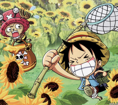 图片评论 0条  收集   点赞  评论  动漫 海贼王 onepiece 头像 索大
